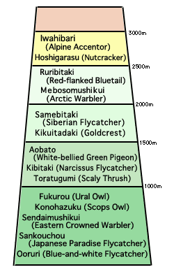 Wild bird distribution on Mt. Fuji and the area at the foot of the mountain