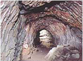 Lava cave in Inno, Gotenba-shi