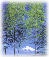 fujisan