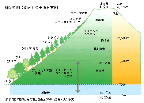 静岡県側（南面）の垂直分布図
