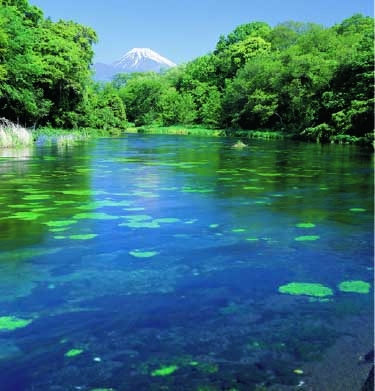 柿田川と富士